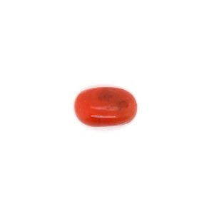 Coral Gemstone