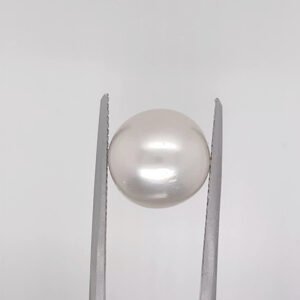 White Round Pearl