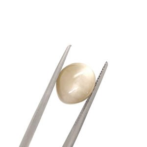 Natural Cat's Eye Chrysoberyl ? Creamy Cabochon Shape